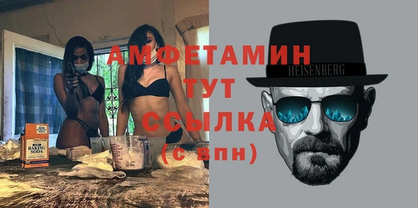 шишки Нея
