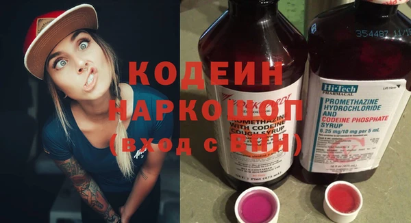 шишки Нея