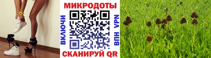 Галлюциногенные грибы мухоморы  ОМГ ОМГ   Княгинино 